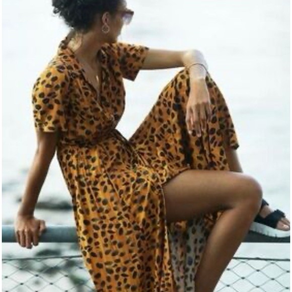 $198 Anthropologie PORRIDGE Vianne Animal Print Button Down Maxi Shirt Dress 4P - Picture 1 of 11